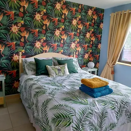 Bed & Breakfast Misty Mountain View For Two Burnfoot