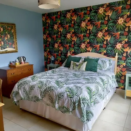 Misty Mountain View For Two Bed & Breakfast